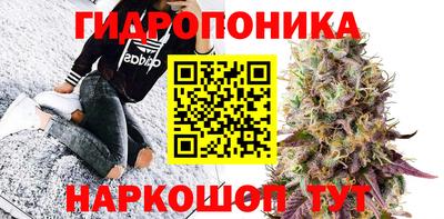 сатива Апшеронск