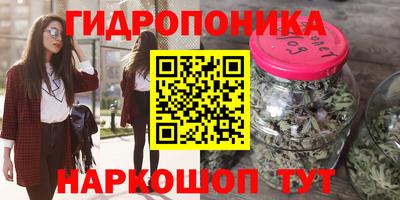 сатива Апшеронск