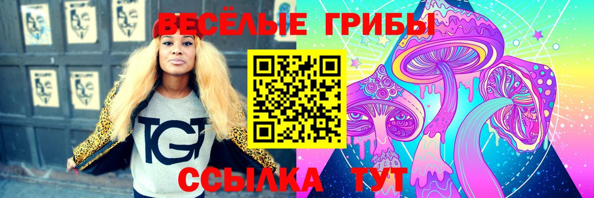 Белореченск  Галлюциногенные грибы Psilocybine cubensis  Псилоцибиновые грибы GOLDEN TEACHER  Вход с VPN 
